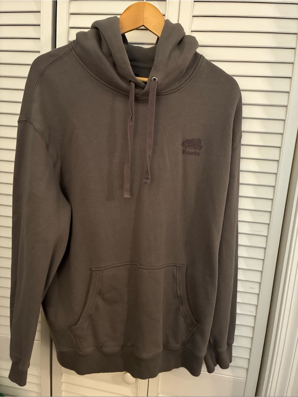 Roots Men's Hoodie in Taupe-Brown